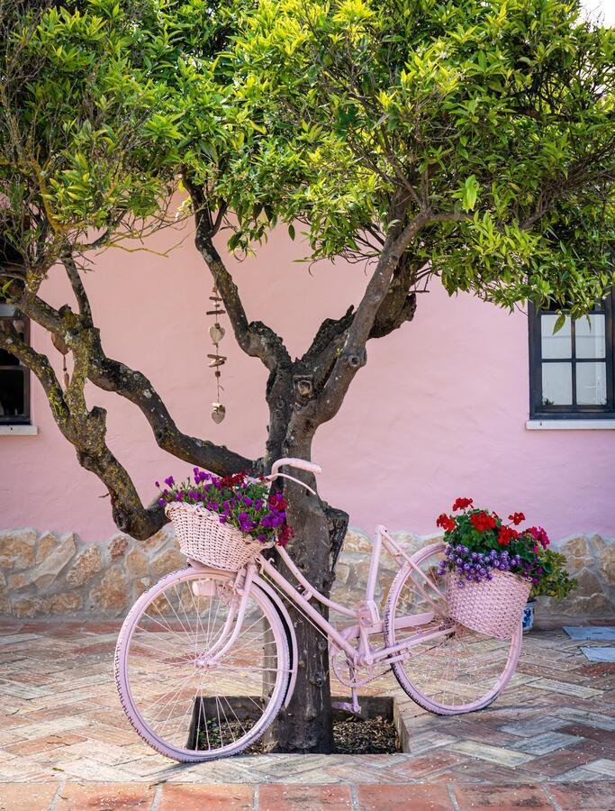 Quinta Aida Cottage And B&B Suites Lagoa  Luaran gambar