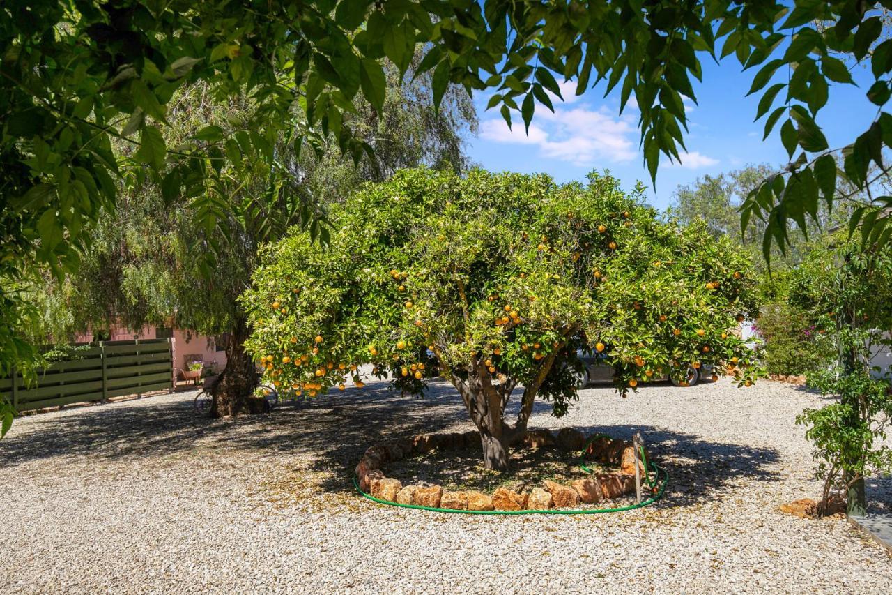 Quinta Aida Cottage And B&B Suites Lagoa  Luaran gambar